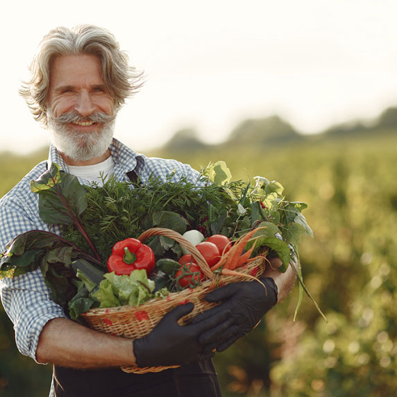 Plant Soil Solutions